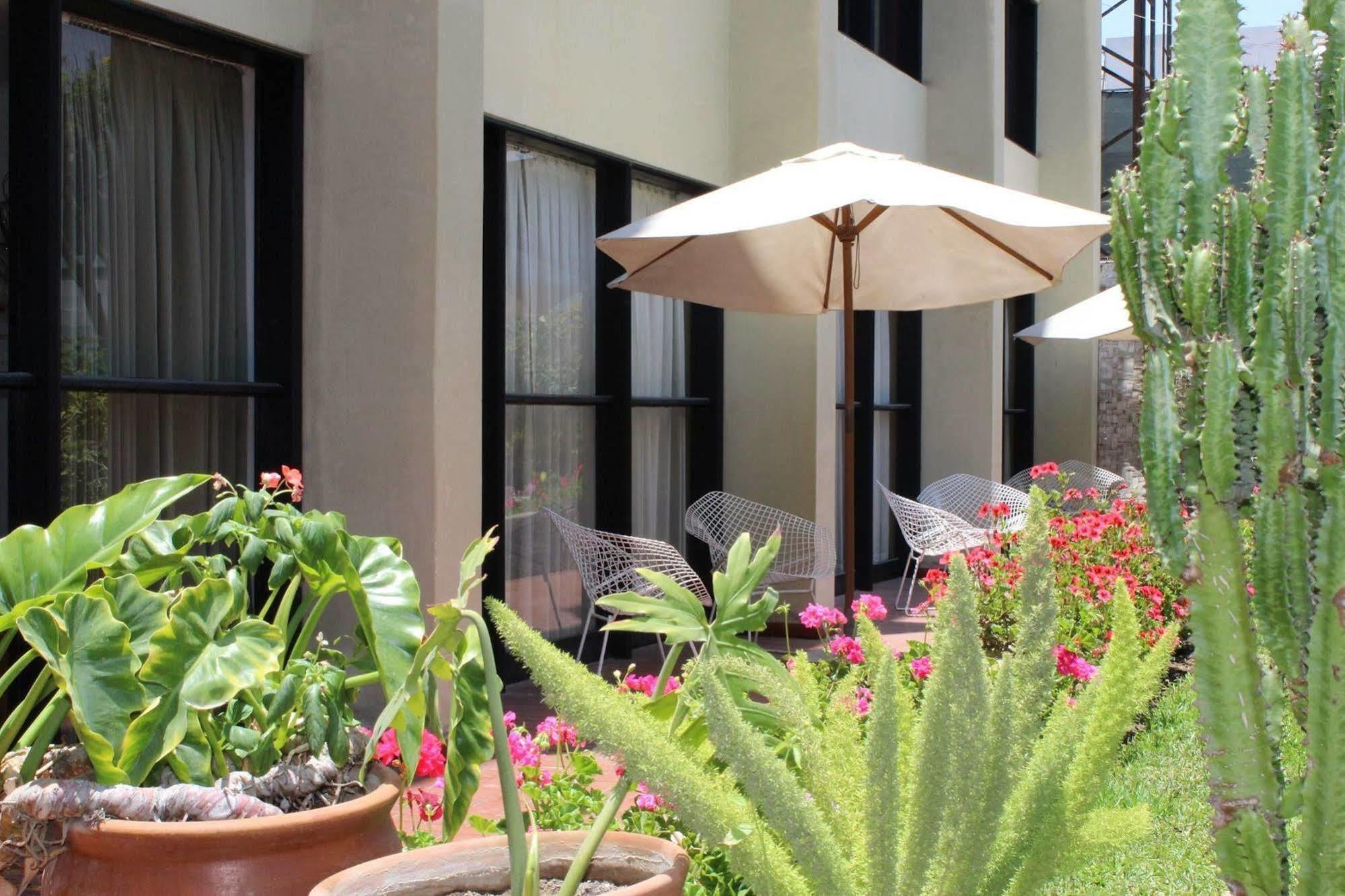 Holiday Suites Tacna Extérieur photo